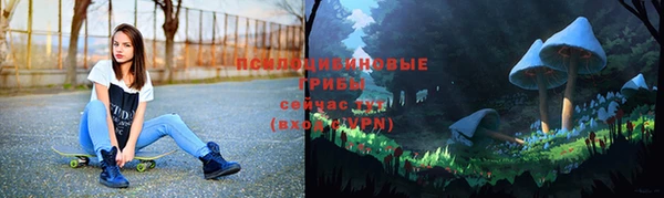 шишки Балахна