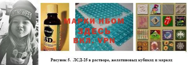 шишки Балахна