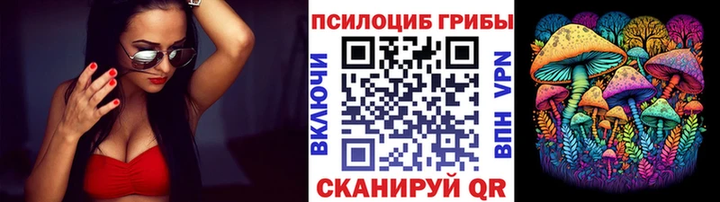 цены   Олёкминск  Псилоцибиновые грибы Cubensis 